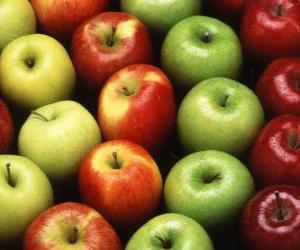 Puzzle Μήλα των διαφόρων τύπων